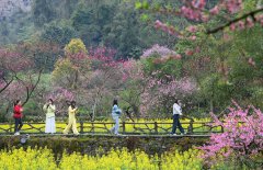 China reports robust travel figures on 1st day of Qingming holiday