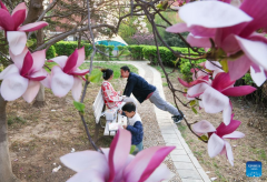 People enjoy Qingming holiday in China