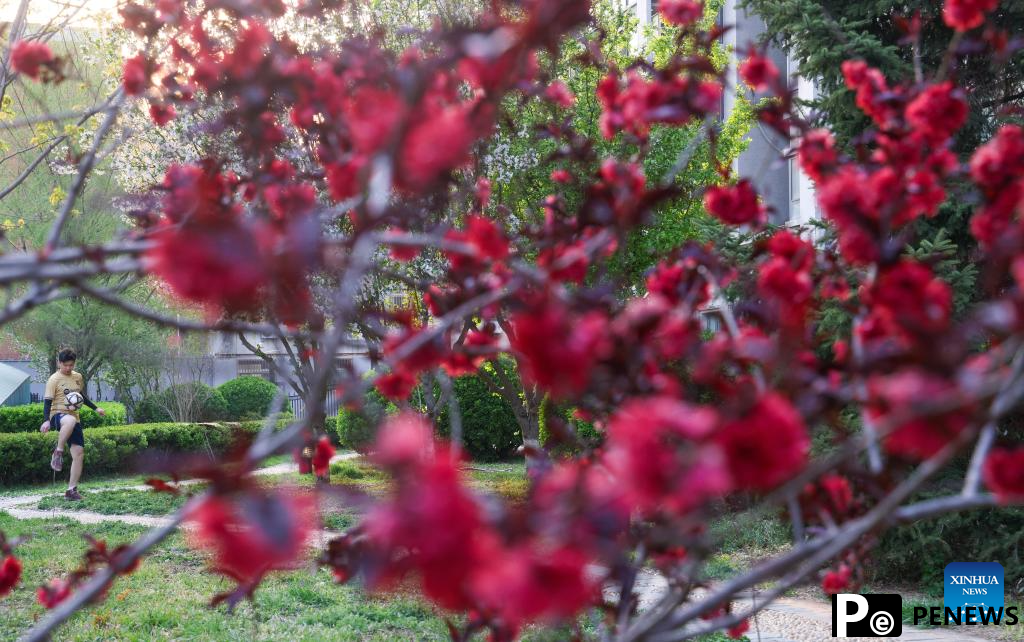 People enjoy Qingming holiday in China