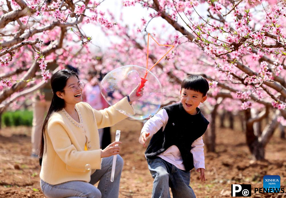 People enjoy Qingming holiday in China