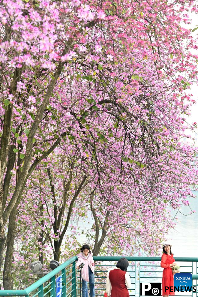 People enjoy Qingming holiday in China