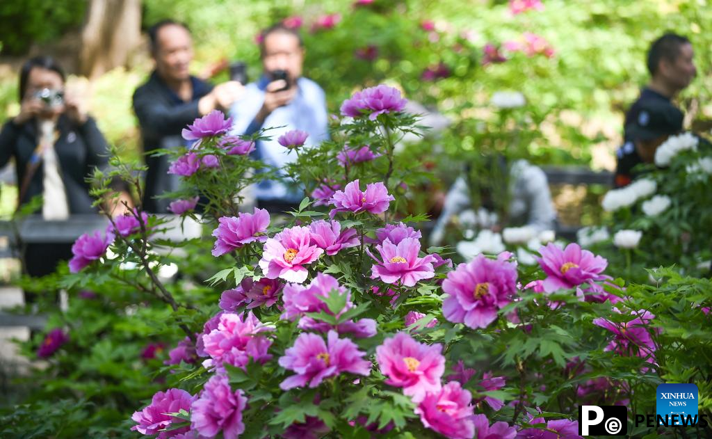 People enjoy Qingming holiday in China