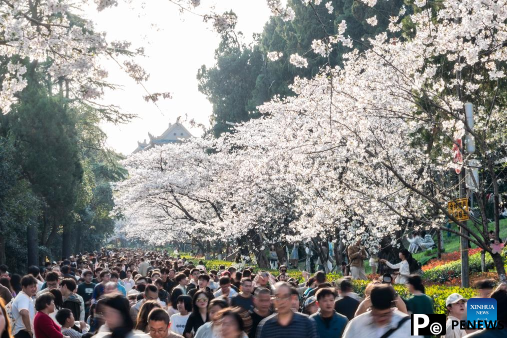 Flowers in full bloom across China