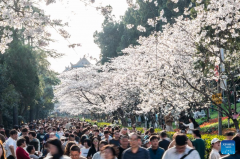 Flowers in full bloom across China