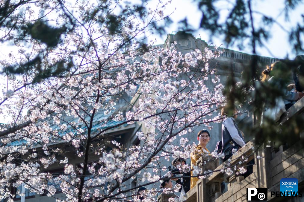 Flowers in full bloom across China