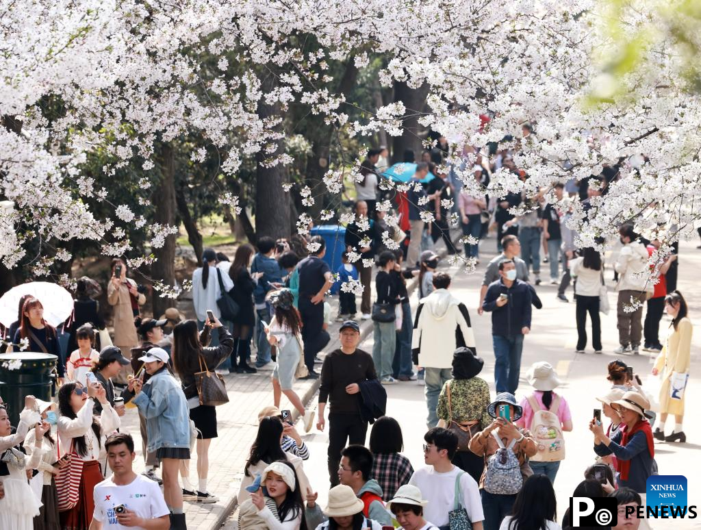 Flowers in full bloom across China