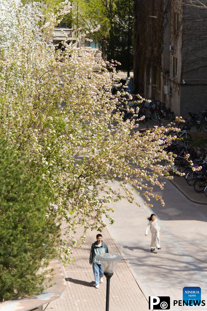 Flowers in full bloom across China