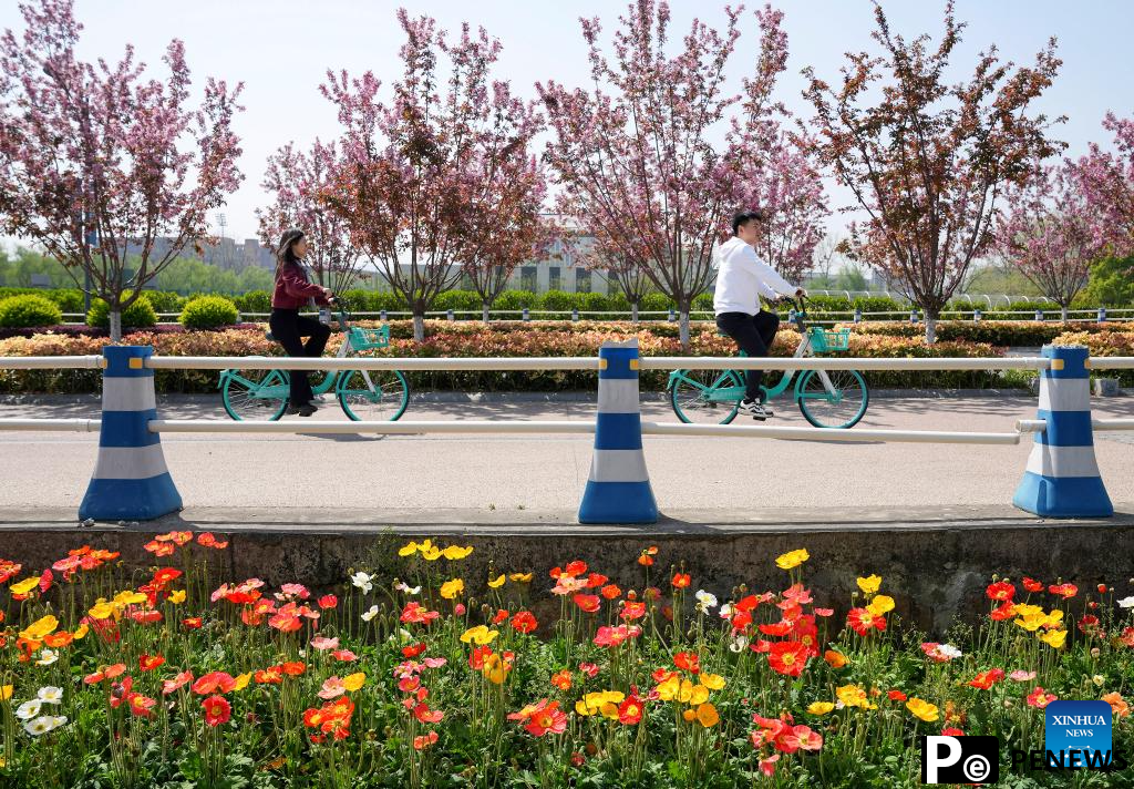 Flowers in full bloom across China