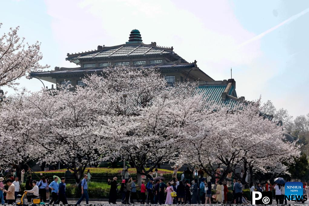 Flowers in full bloom across China