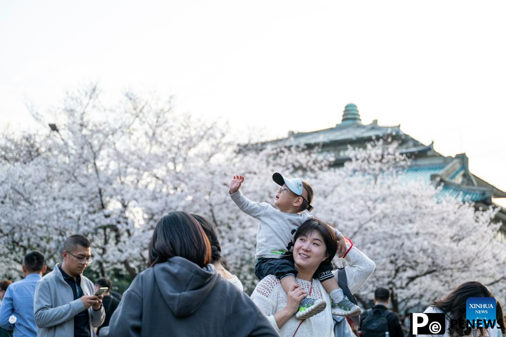 Flowers in full bloom across China