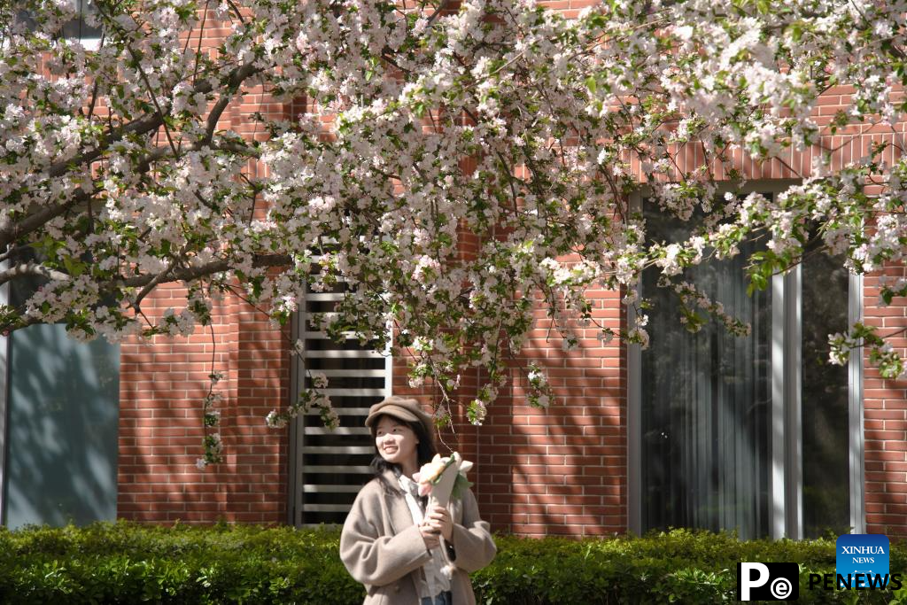 Flowers in full bloom across China