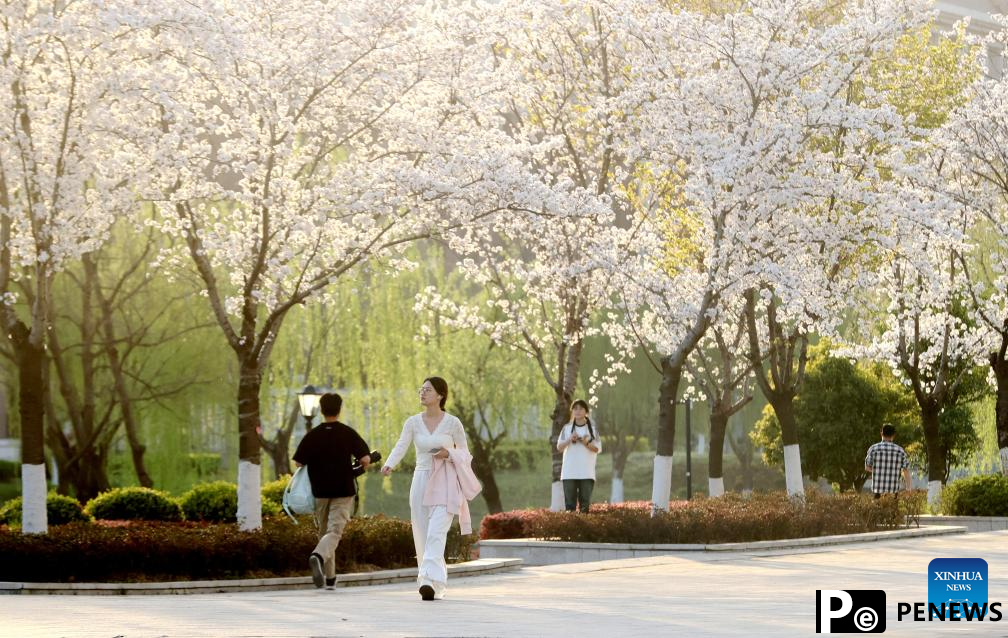 Flowers in full bloom across China