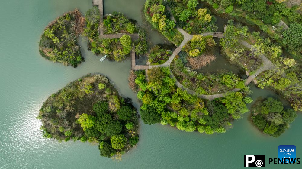 Tourists enjoy spring scenery in Mile City of China