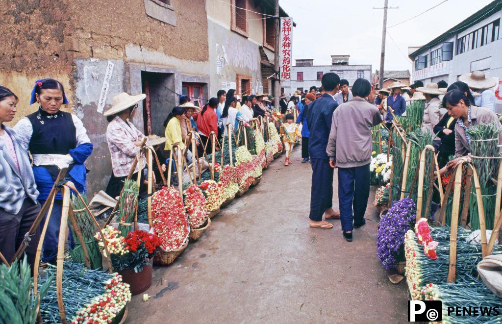 Blossoming business: Dounan