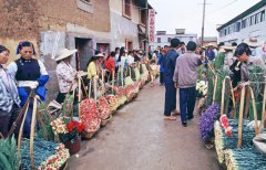 Blossoming business: Dounan's journey from bud to boom in fresh