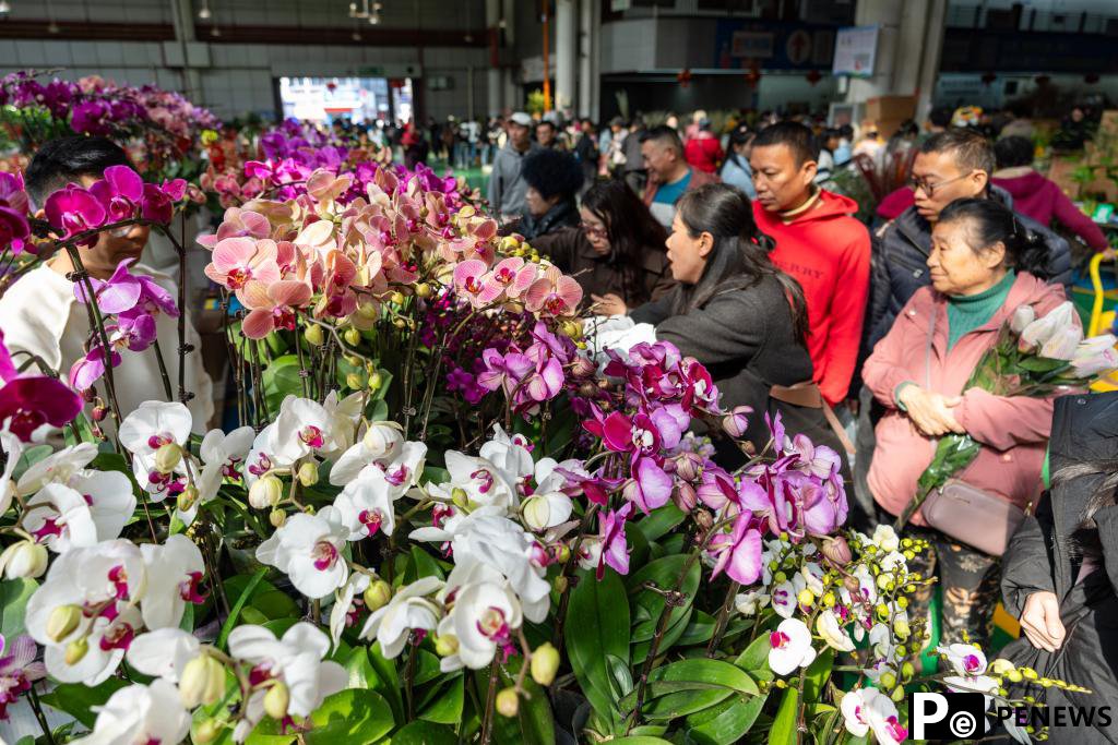 Blossoming business: Dounan