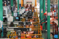 China's Zhuji promotes quality development of private sector
