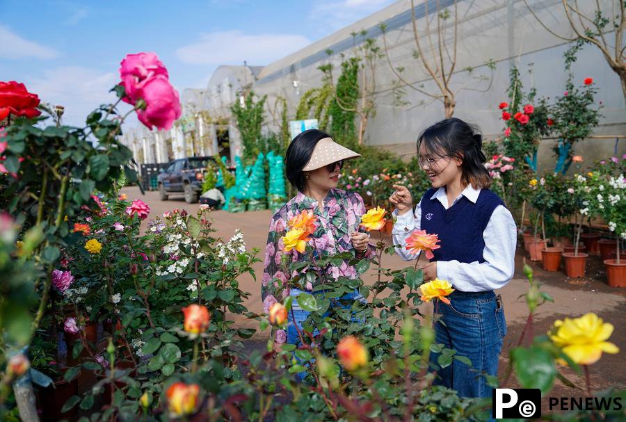 Yunnan flower fragrance spreads in Vietnam