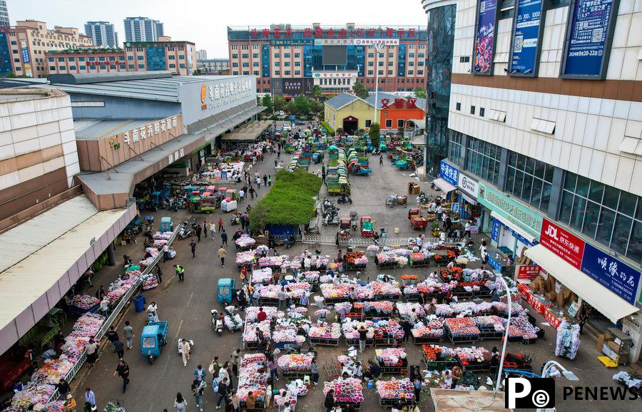 Yunnan flower fragrance spreads in Vietnam