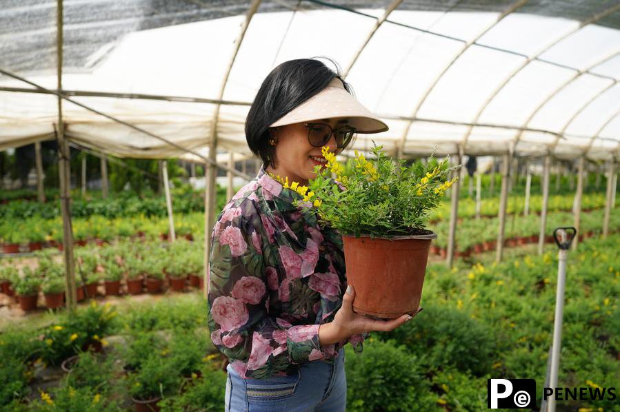 Yunnan flower fragrance spreads in Vietnam