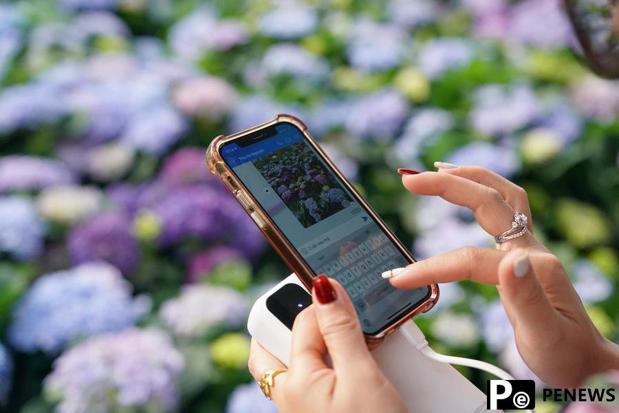 Yunnan flower fragrance spreads in Vietnam