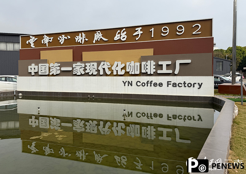 Coffee economy thrives in SW China