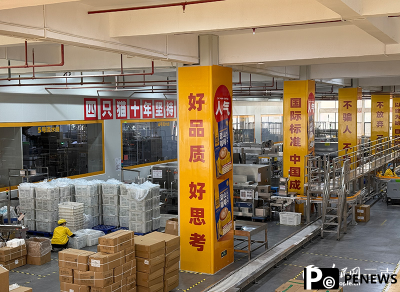 Coffee economy thrives in SW China