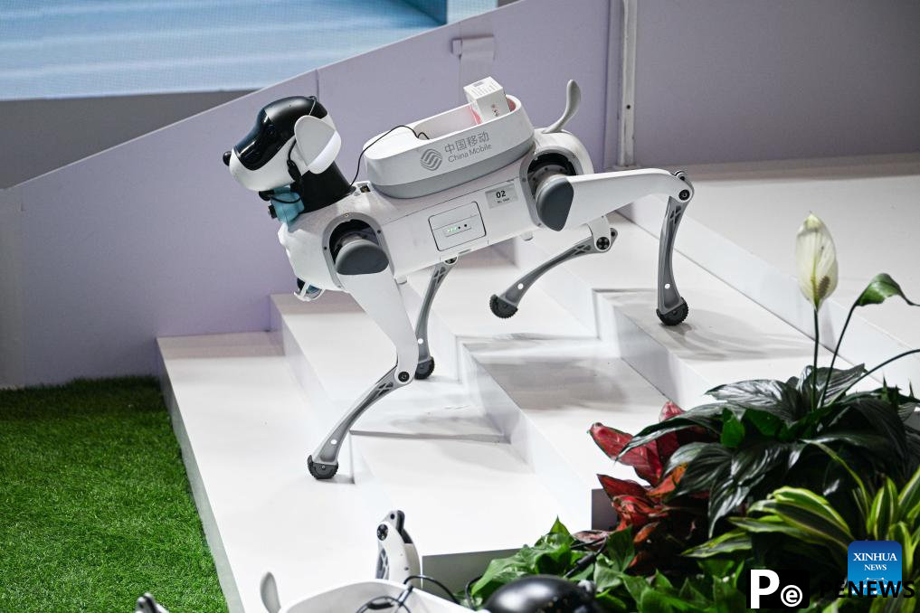 edge robots displayed at 5th CICPE in Haikou, China