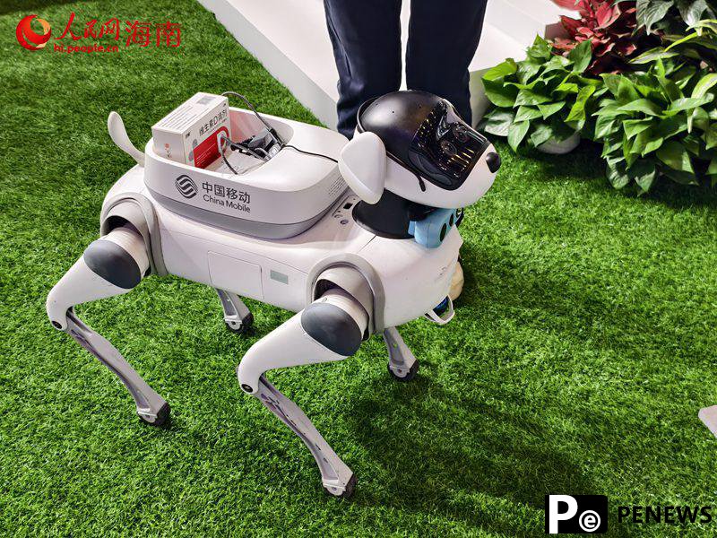 edge tech products, AI shine at 5th China International Consumer Products Expo