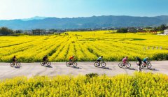 Booming 'spring economy' reflects vibrancy of China's consumer market