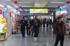 China's foreign trade sector moving fast to navigate tariff headwinds