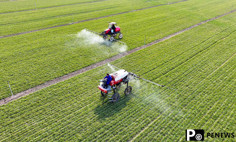 Chinese economy firms up recovery in Q1, ready to navigate uncertainties