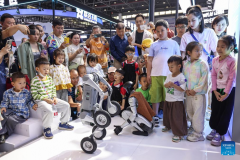 5th CICPE opens to general public in Haikou