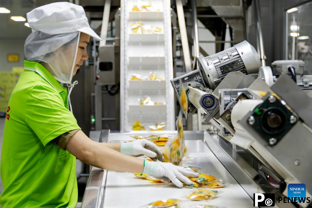 Sweetness of Cambodian mangoes shared by Chinese people