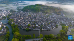 Scenery of Hongcun Village in China's Anhui