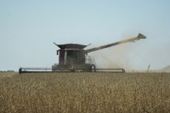 U.S. farmers bear the brunt as tariffs backfire
