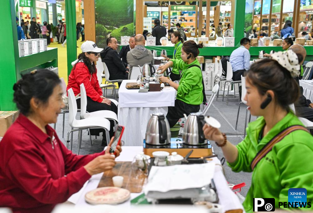 In pics: 18th Beijing Int