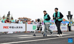 marathon and humanoid robots half