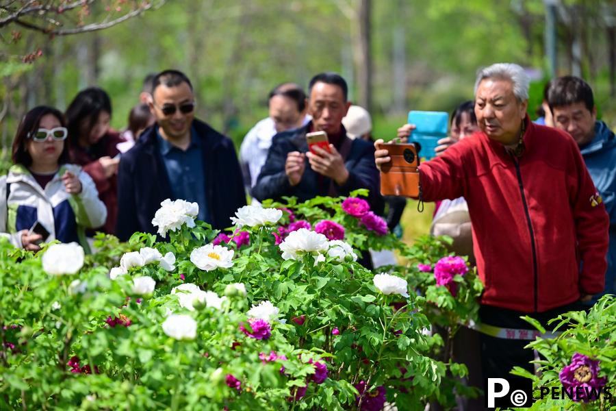 Spring is here, China