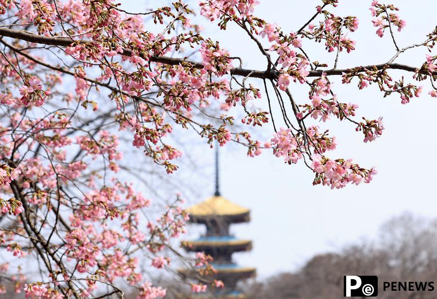 Spring is here, China