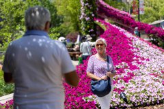 Instant tax refunds give wings to China Travel