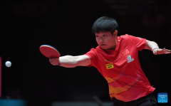 ITTF World Cup women's singles semifinal match: Sun Yingsha vs. Chen Xingtong