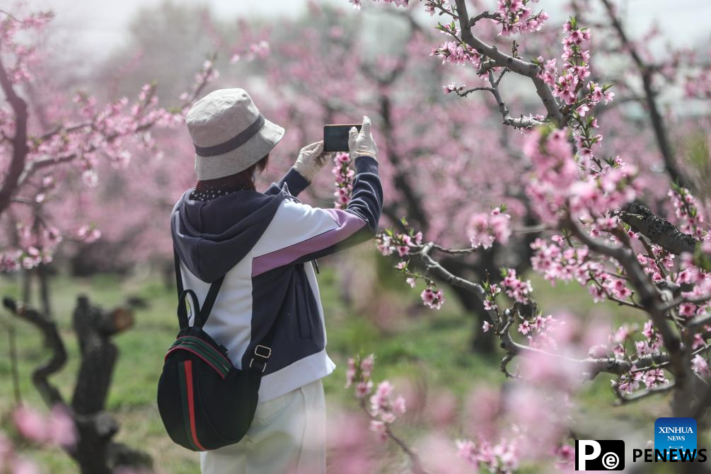 Flowers bloom in China