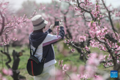 Flowers bloom in China