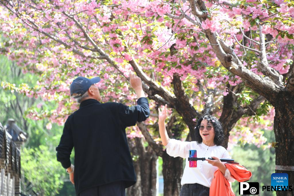 Flowers bloom in China