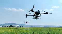 Chinese agriculture poised for breakthroughs in new quality productive forces