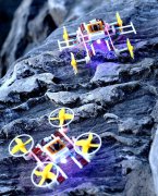 Chinese scientists develop world's smallest untethered terrestrial