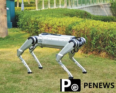 Chinese companies roll out embodied AI robots for everyday tasks