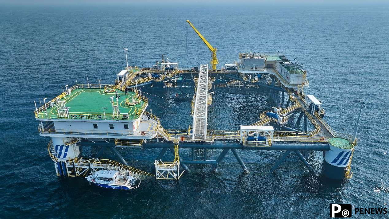 From seafood to carbon assets: how Shandong island is banking on blue resources