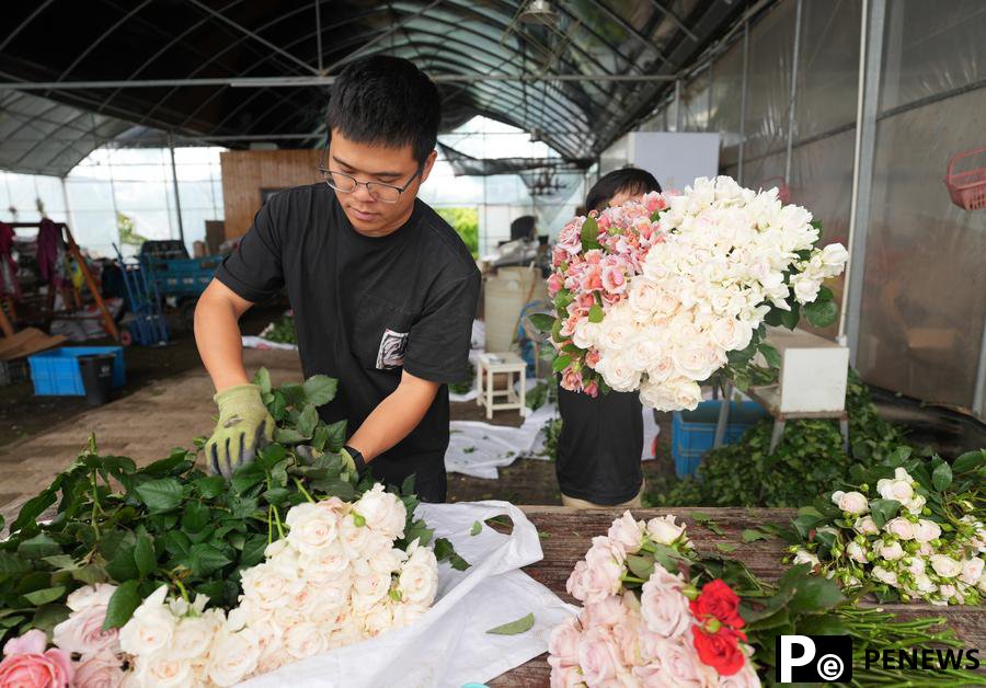 Young lads promote flower business at hometown in E China